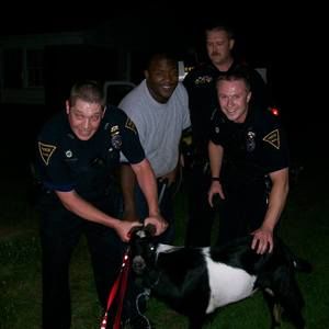 Meet your Posher, Douglas